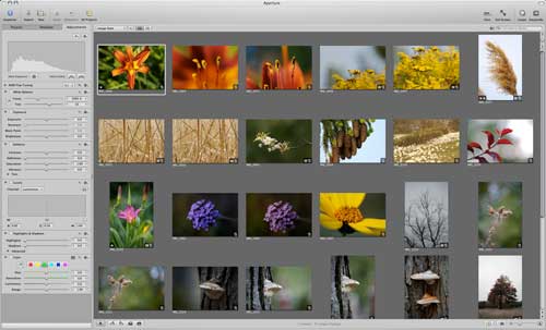 aperture